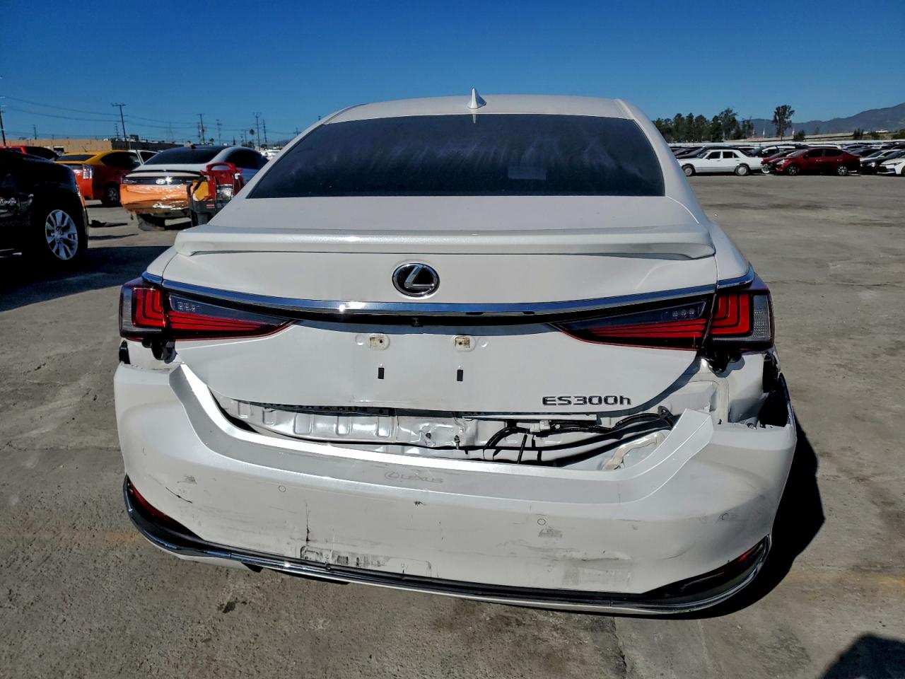 2024 LEXUS ES 300H BASE photo 6
