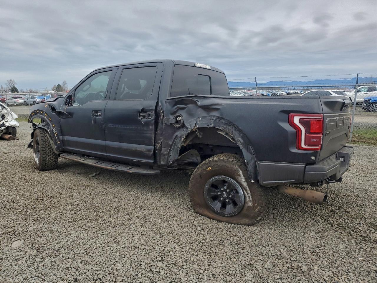 2017 FORD F150 RAPTOR photo 2