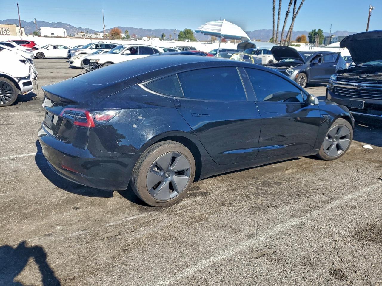 2023 TESLA MODEL 3 photo 3