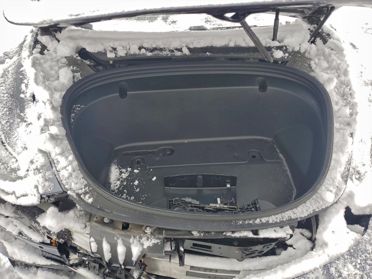 2020 TESLA MODEL 3 photo 31