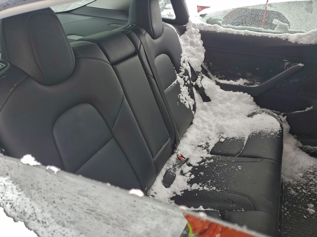 2020 TESLA MODEL 3 photo 28