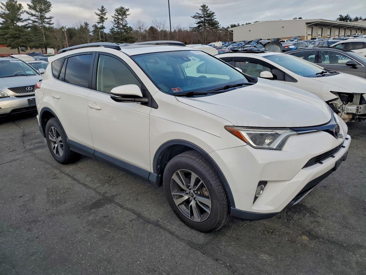 2017 TOYOTA RAV4 XLE photo 10