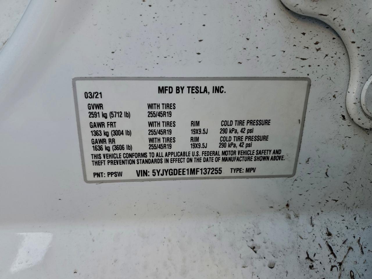 2021 TESLA MODEL Y photo 13