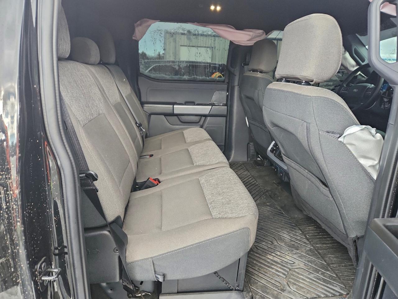 2024 FORD F150 XLT photo 10