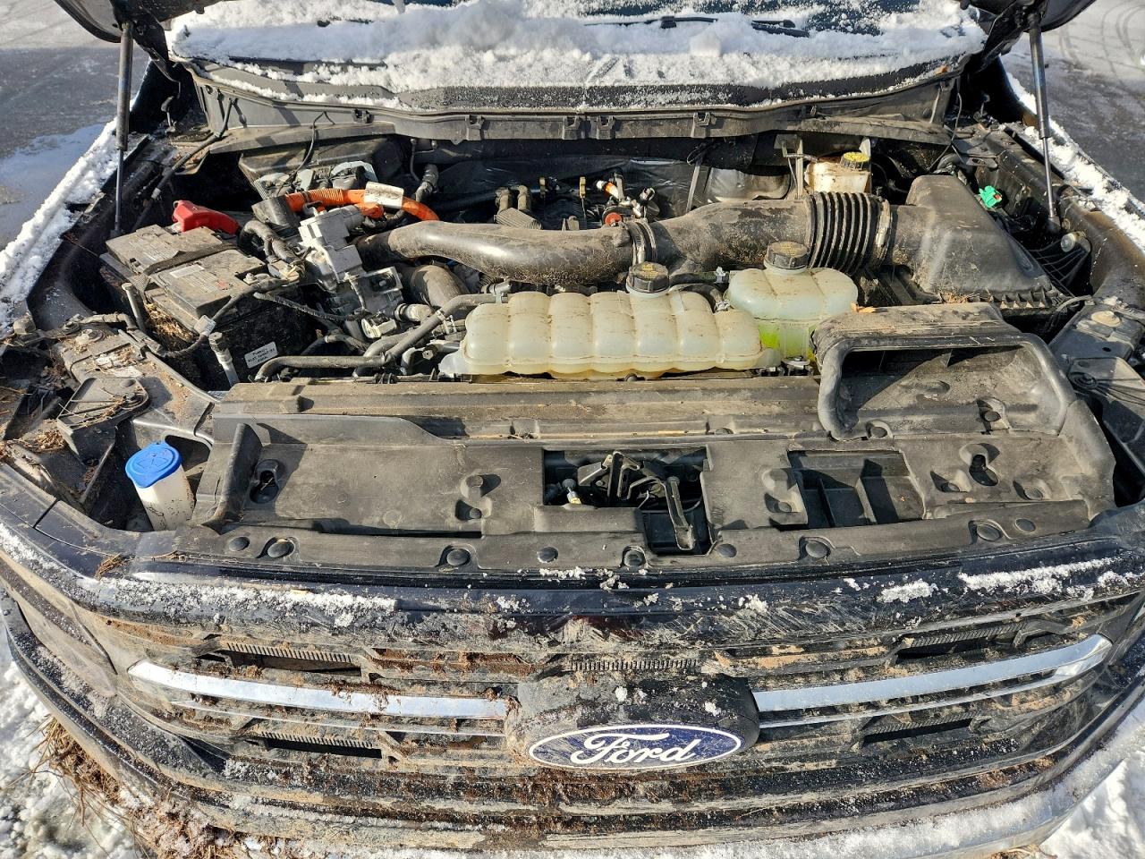 2024 FORD F150 XLT photo 11