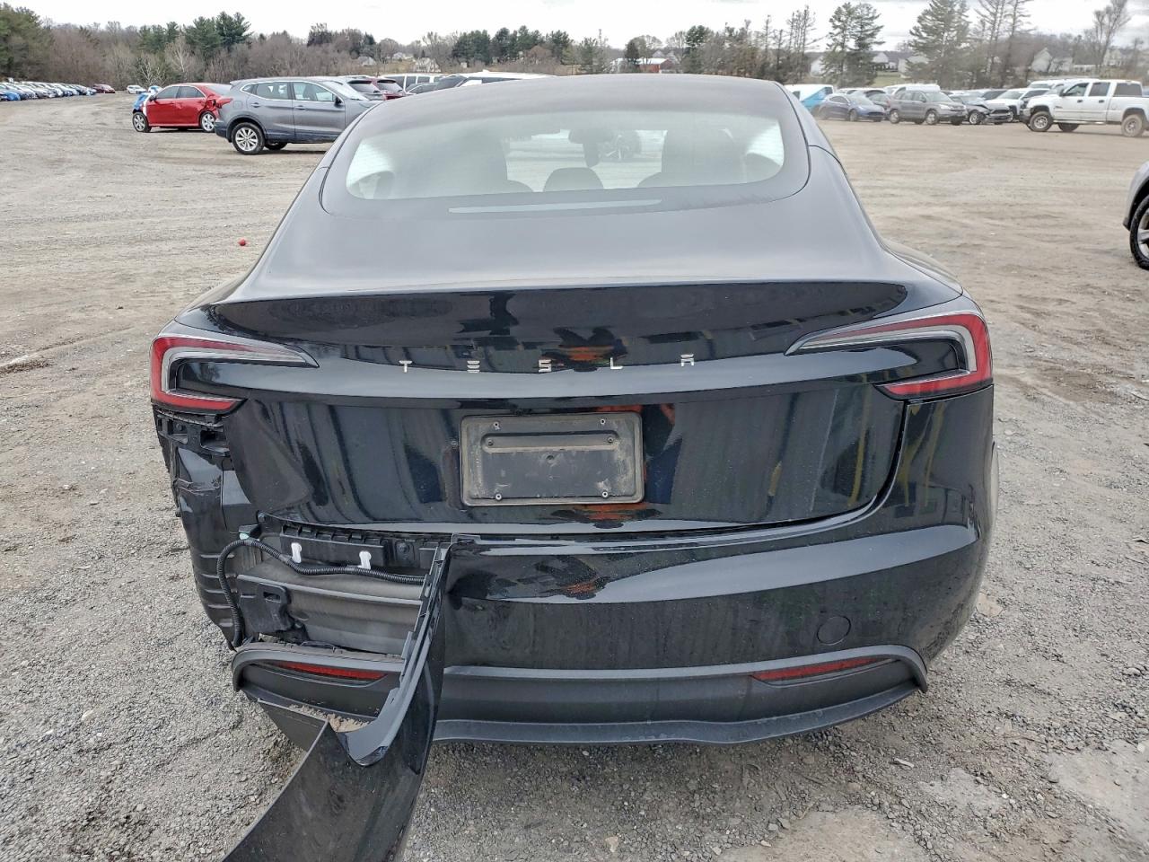 2024 TESLA MODEL 3 photo 11