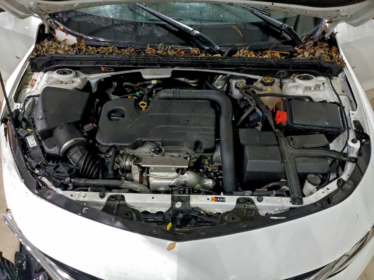 2021 CHEVROLET MALIBU LS photo 11