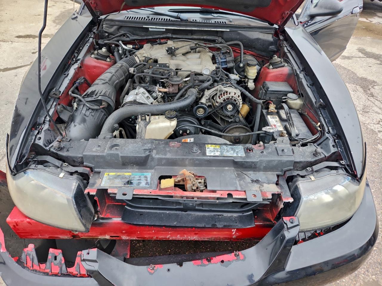 2004 FORD MUSTANG photo 11