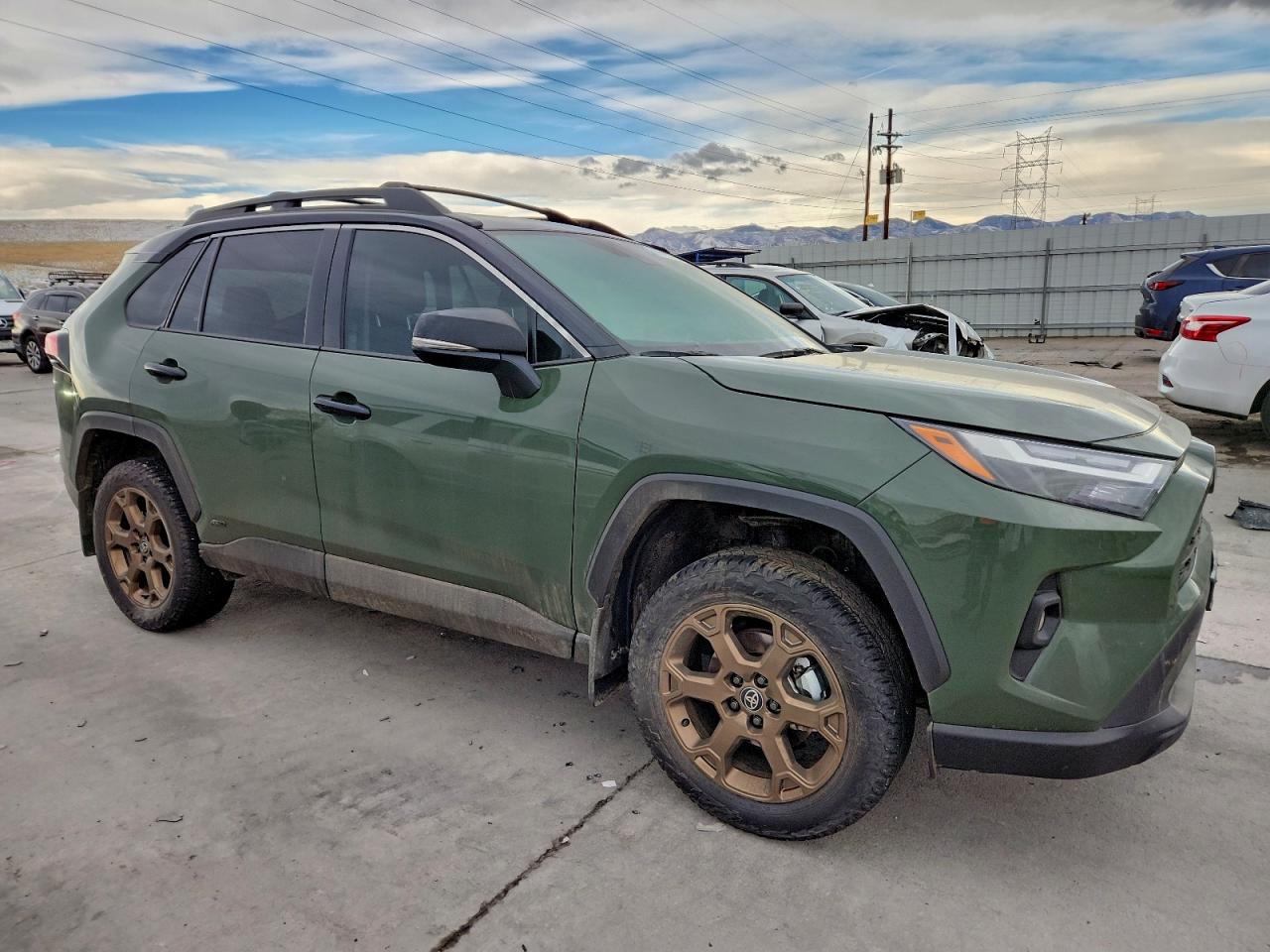 2025 TOYOTA RAV4 WOODLAND EDITION photo 4