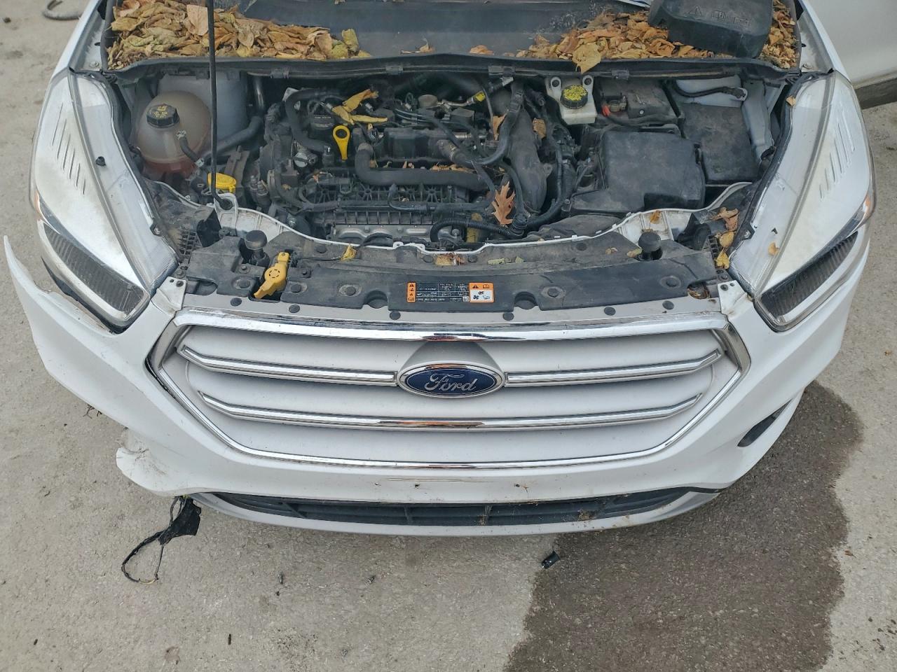 2019 FORD ESCAPE SE photo 12