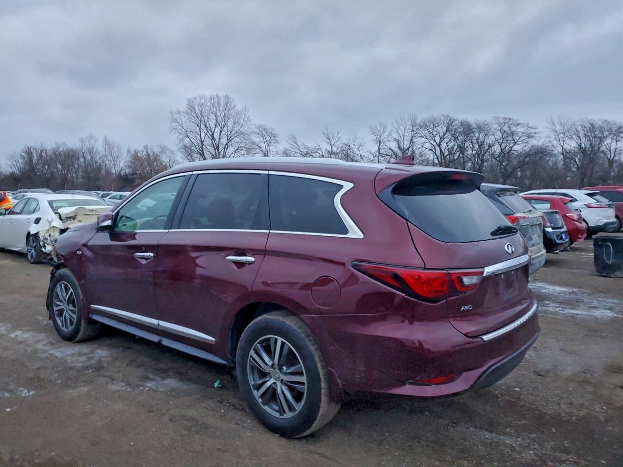 2020 INFINITI QX60 LUXE photo 3