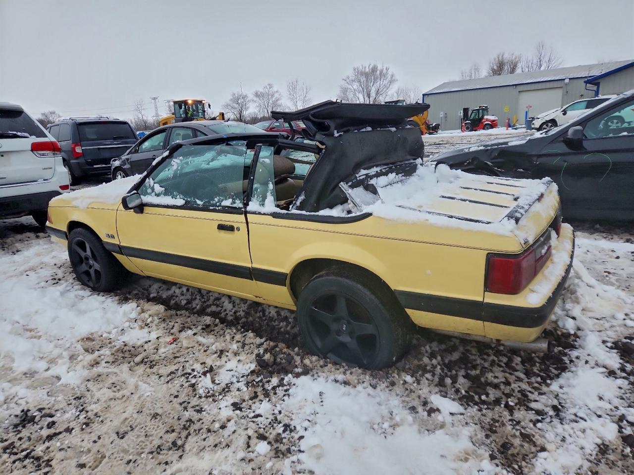 1989 FORD MUSTANG LX photo 3