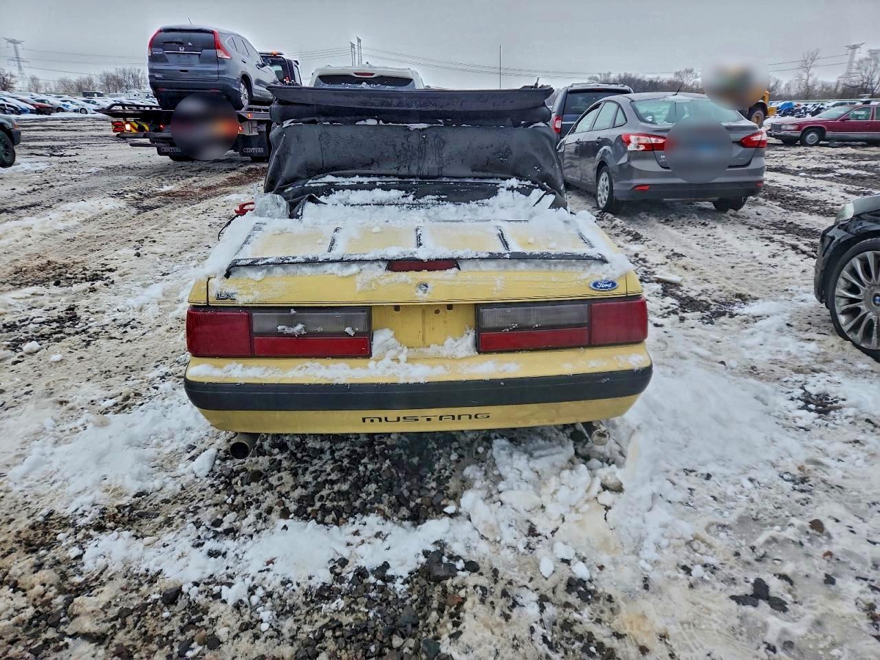 1989 FORD MUSTANG LX photo 11