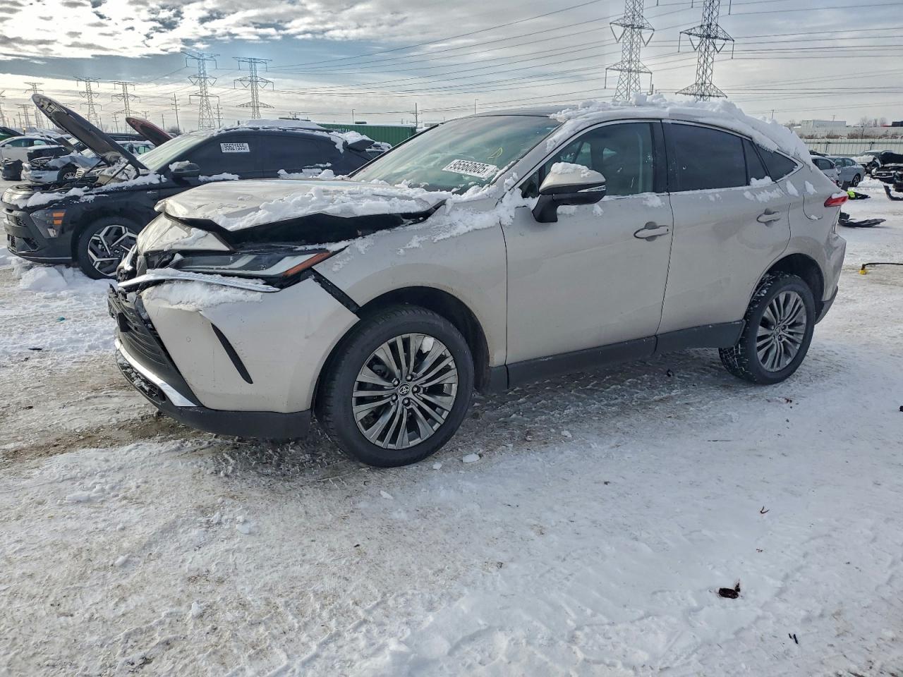 2023 TOYOTA VENZA