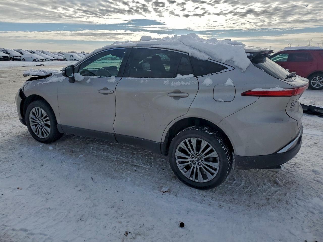 2023 TOYOTA VENZA LE photo 4