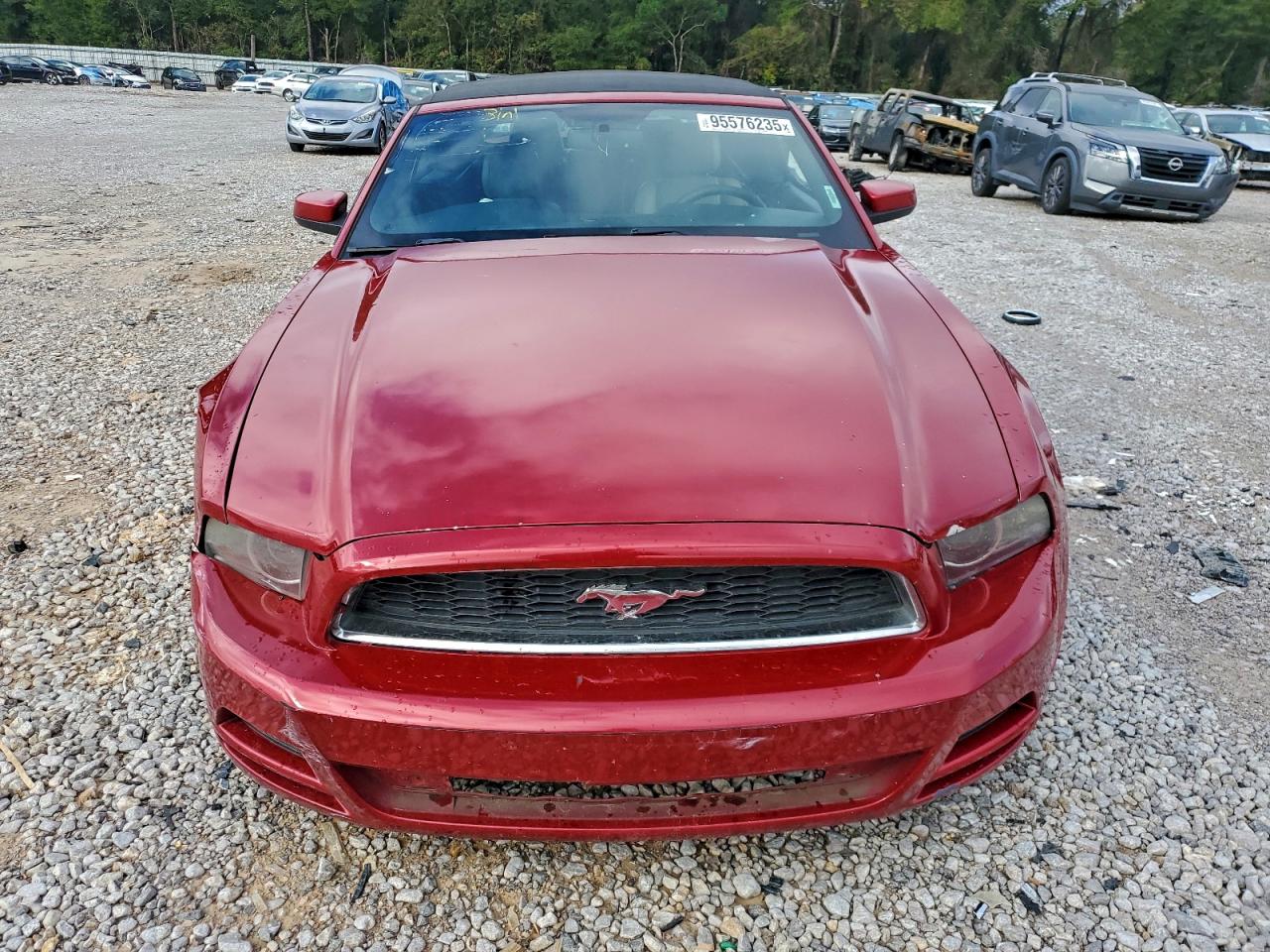 2013 FORD MUSTANG photo 5