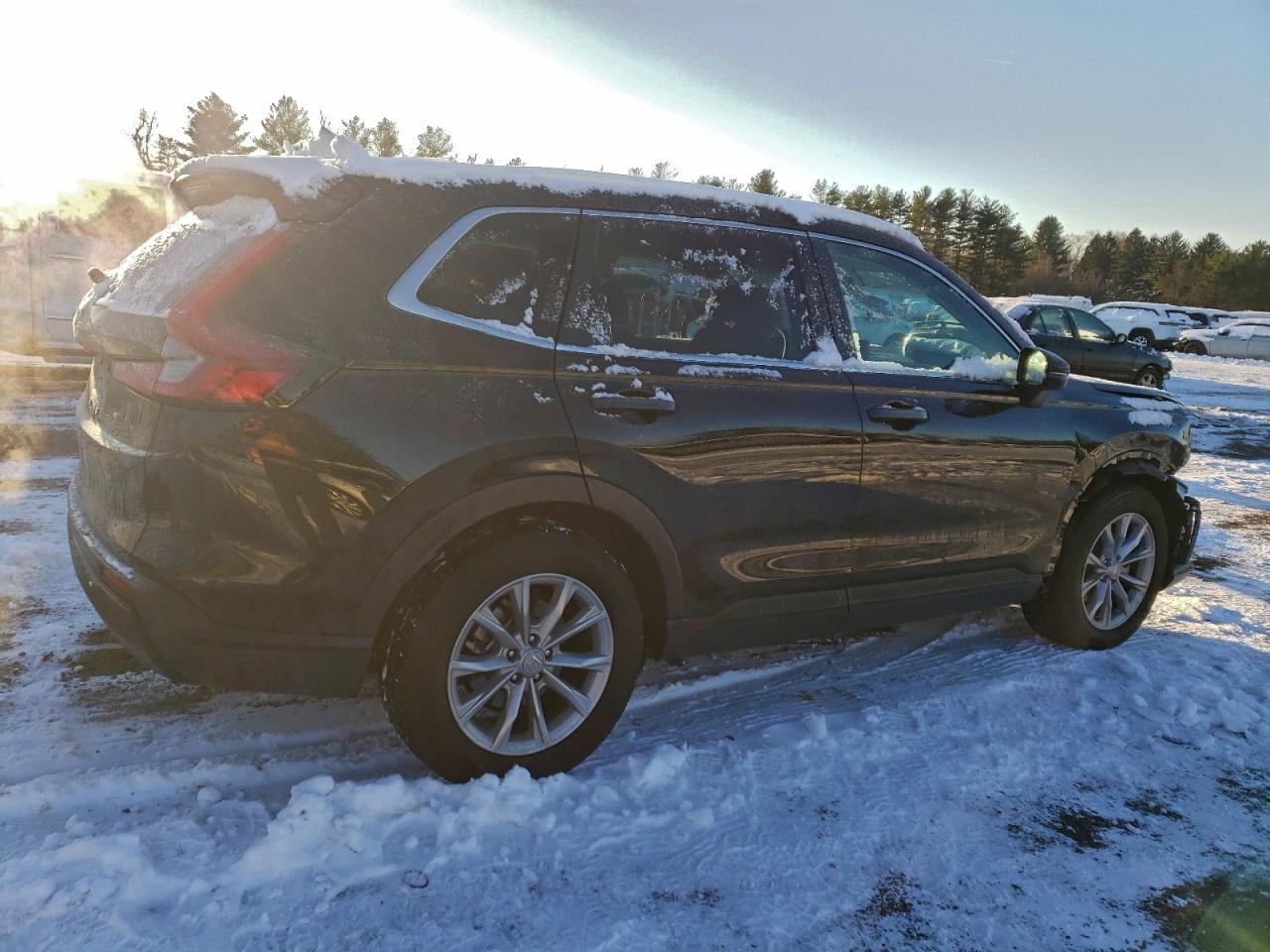 2025 HONDA CR-V EX photo 5
