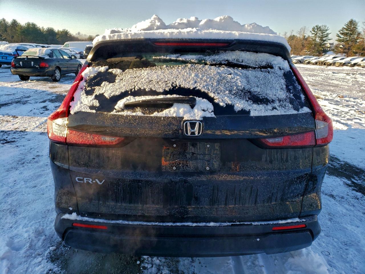 2025 HONDA CR-V EX photo 11