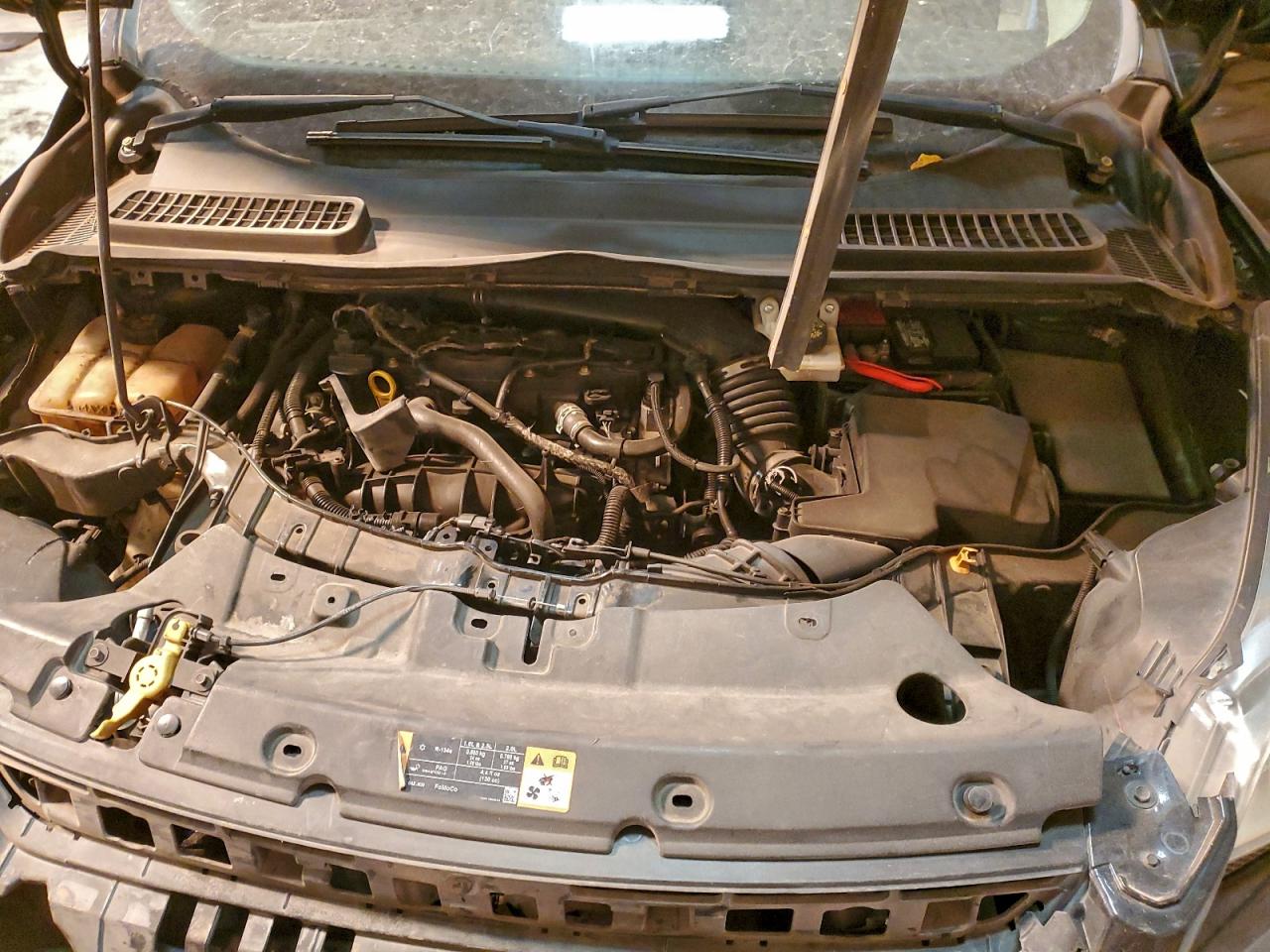 2014 FORD ESCAPE SE photo 12