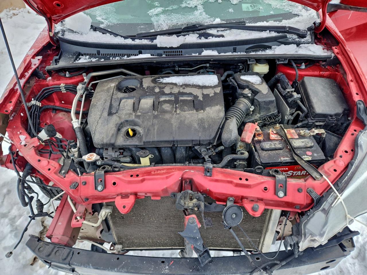 2019 TOYOTA COROLLA LE photo 11