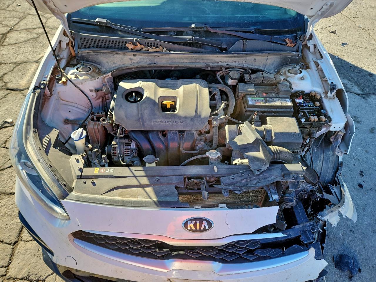 2019 KIA FORTE LXS photo 31