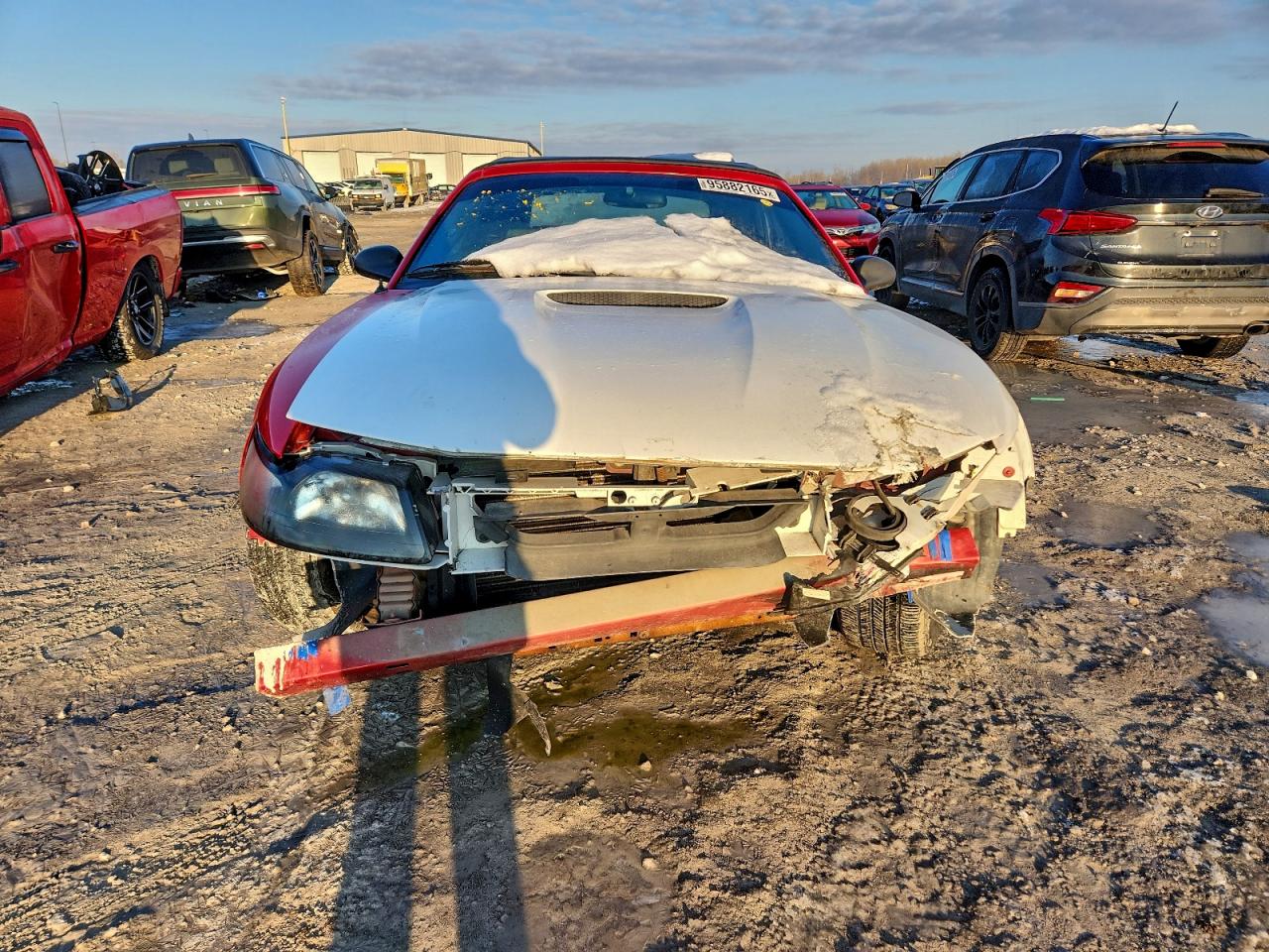 2002 FORD MUSTANG photo 5