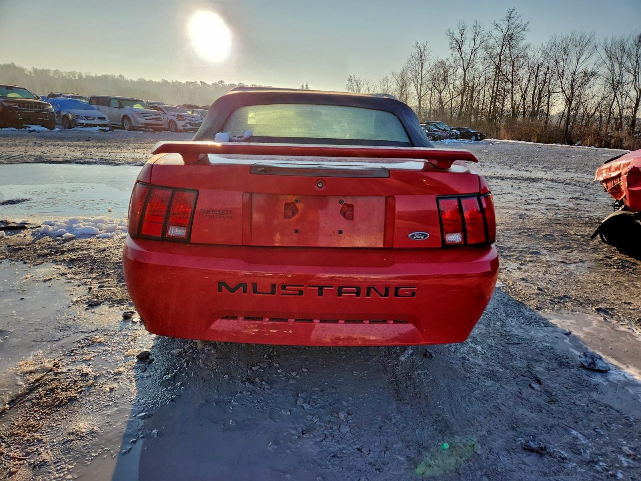 2002 FORD MUSTANG photo 6