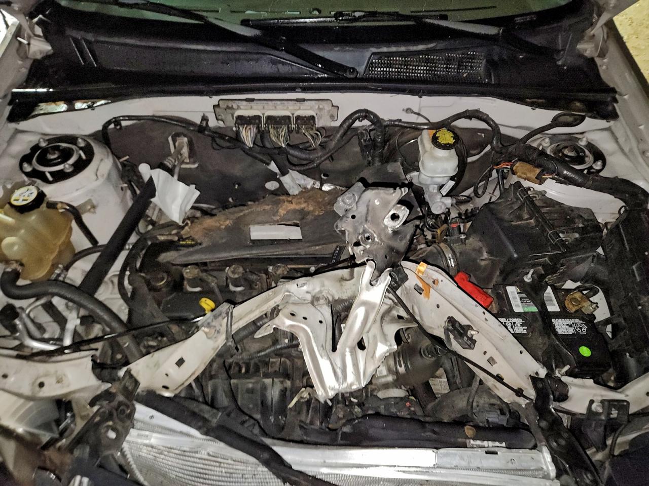 2010 FORD ESCAPE XLT photo 12
