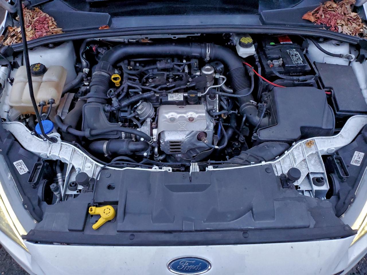 2018 FORD FOCUS SE photo 41
