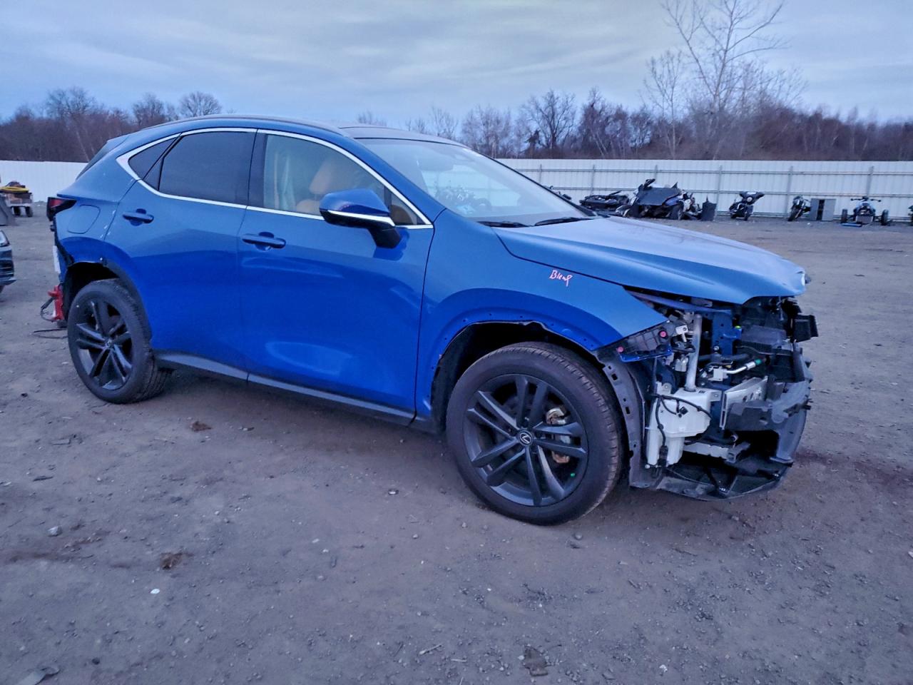 2025 LEXUS NX 450H LUXURY photo 7