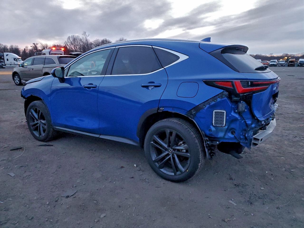 2025 LEXUS NX 450H LUXURY photo 3