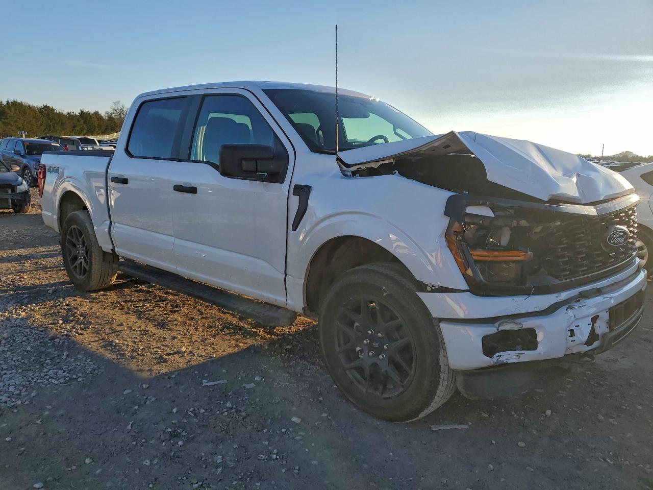 2025 FORD F150 STX photo 10