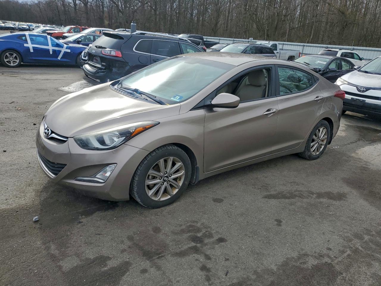 2014 HYUNDAI ELANTRA