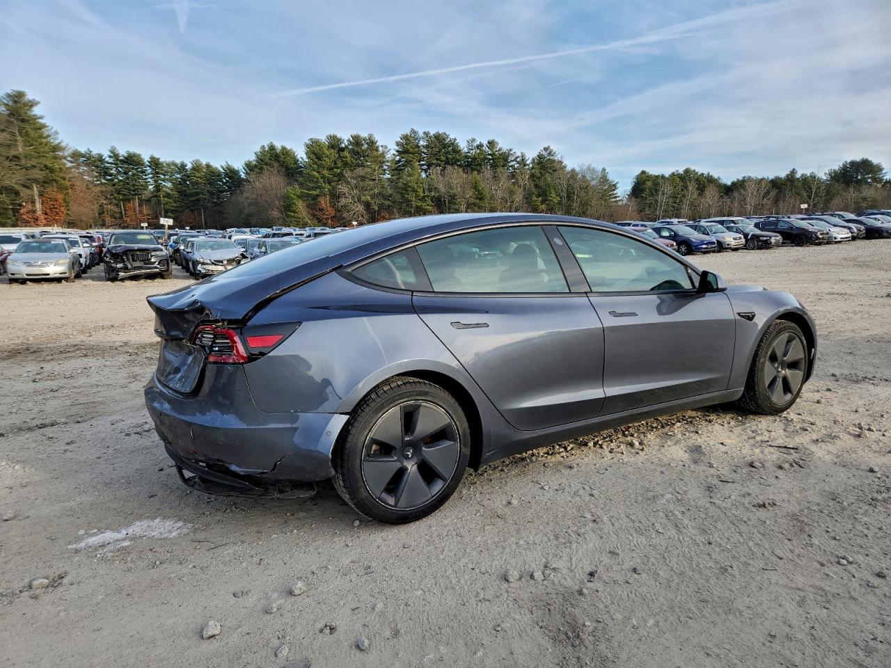 2021 TESLA MODEL 3 photo 5