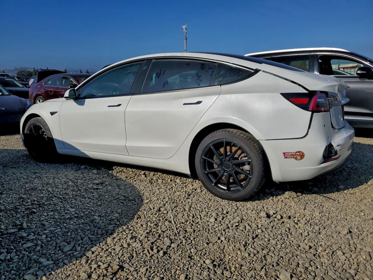 2023 TESLA MODEL 3 photo 2