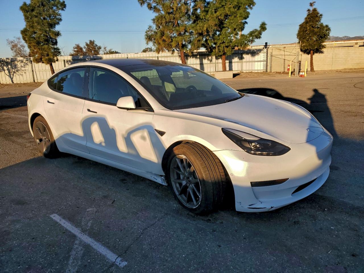 2021 TESLA MODEL 3 photo 4