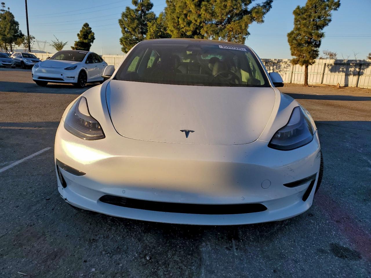 2021 TESLA MODEL 3 photo 5