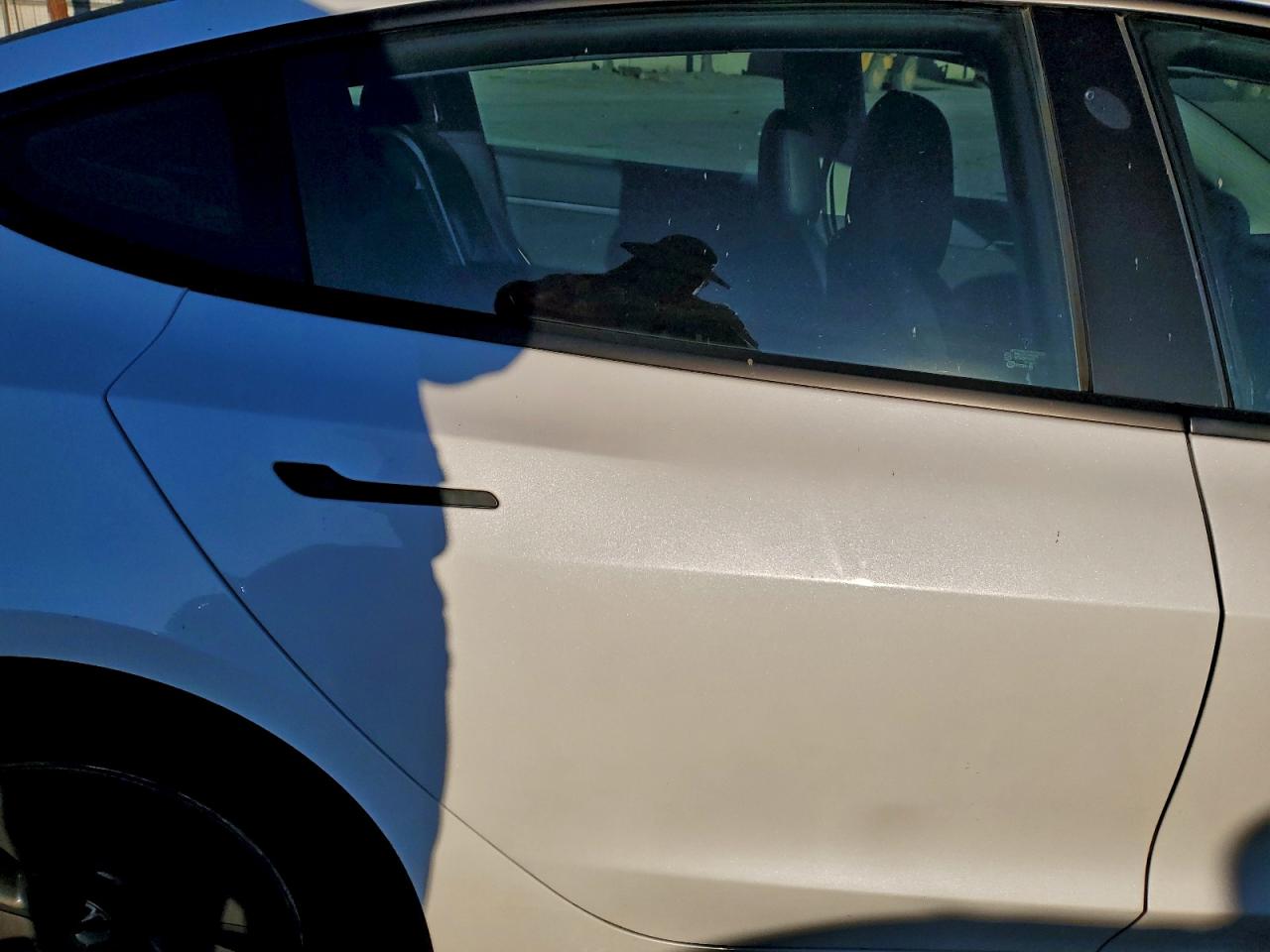 2021 TESLA MODEL 3 photo 10