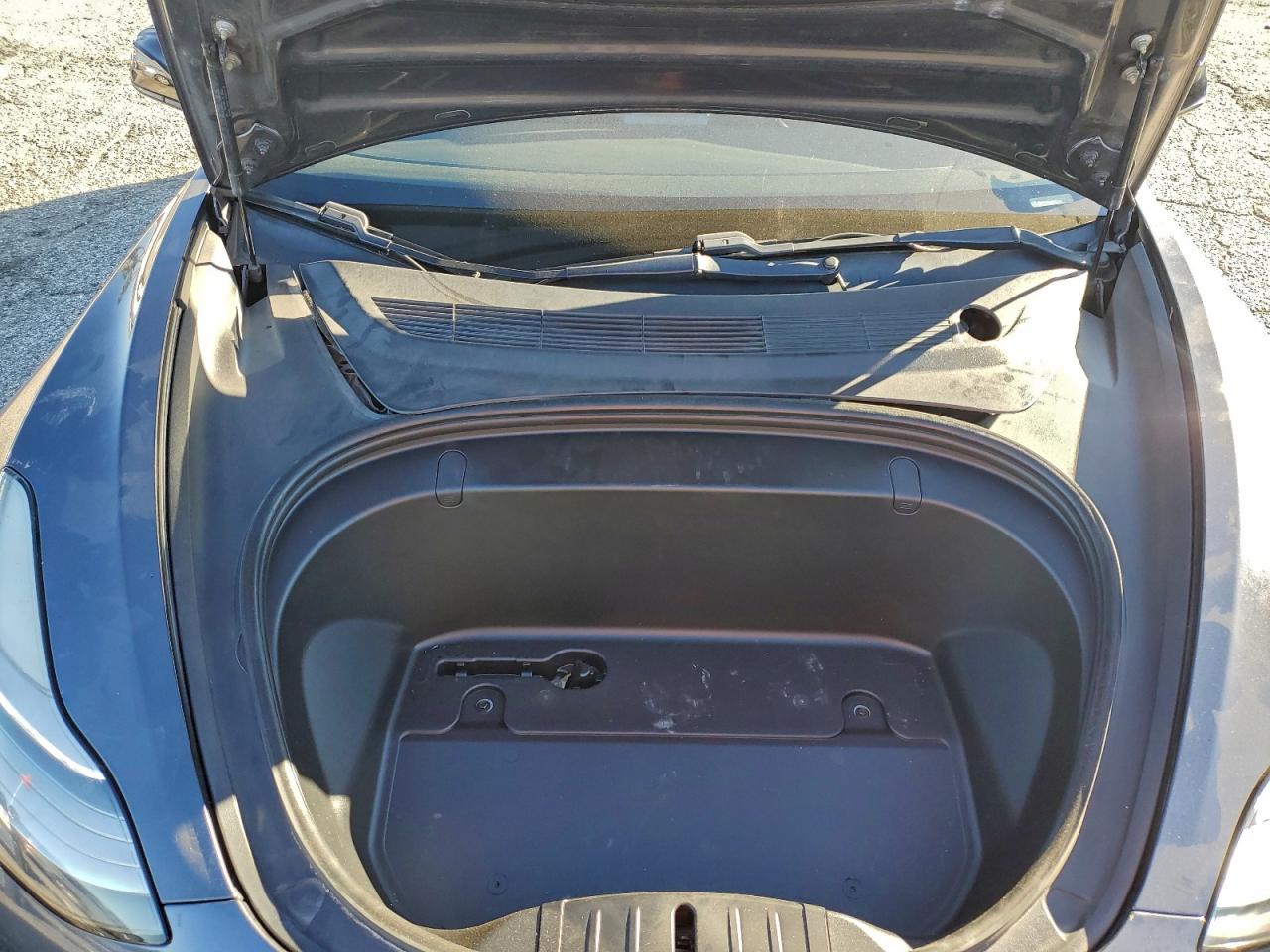 2019 TESLA MODEL 3 photo 21