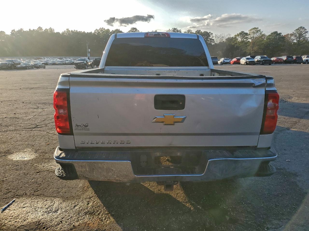 2017 CHEVROLET SILVERADO C1500 photo 11
