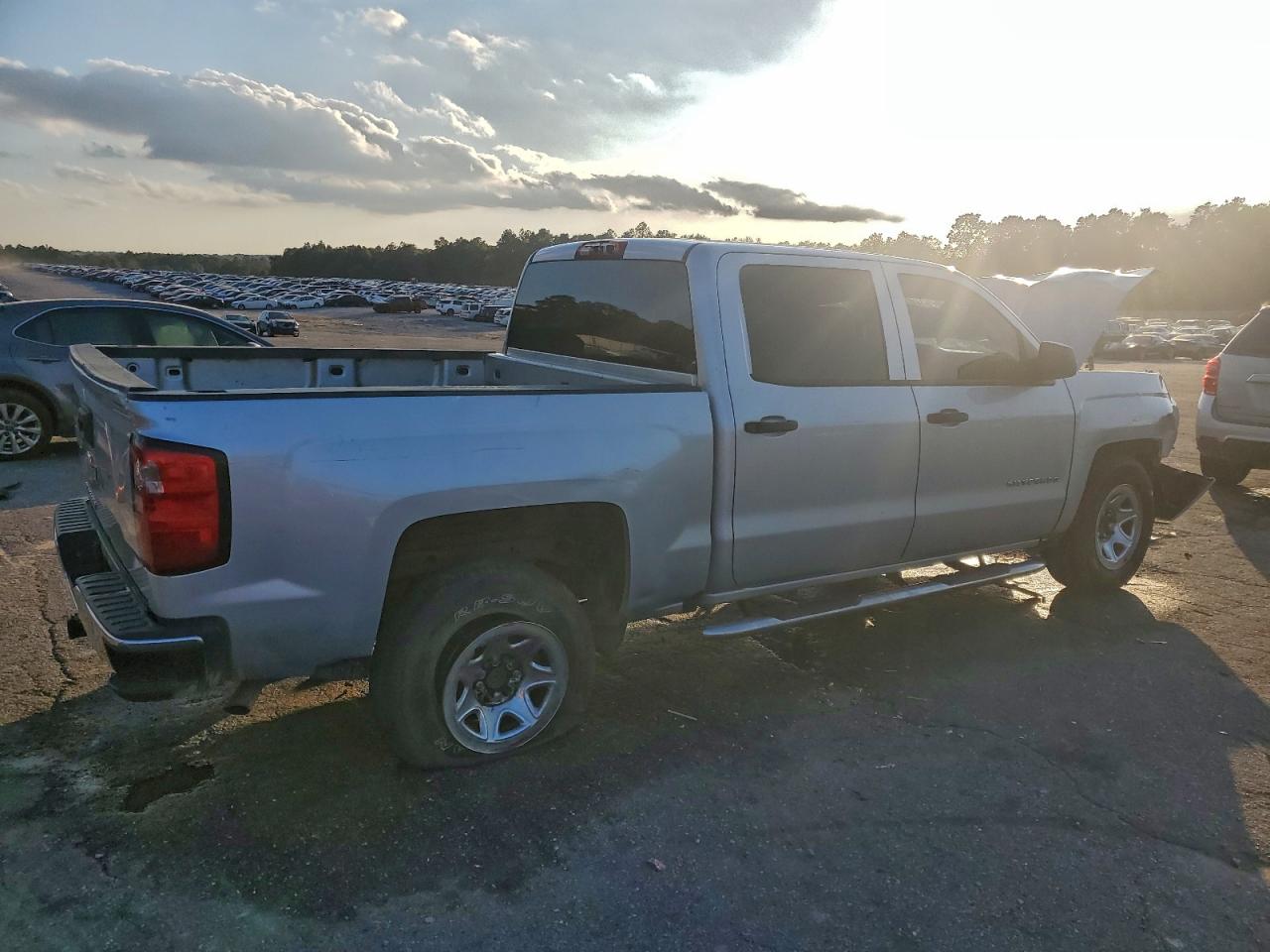 2017 CHEVROLET SILVERADO C1500 photo 5