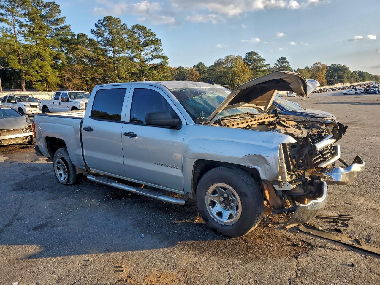 2017 CHEVROLET SILVERADO C1500 photo 7
