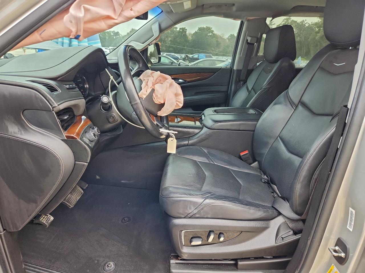 2019 CADILLAC ESCALADE ESV LUXURY photo 13