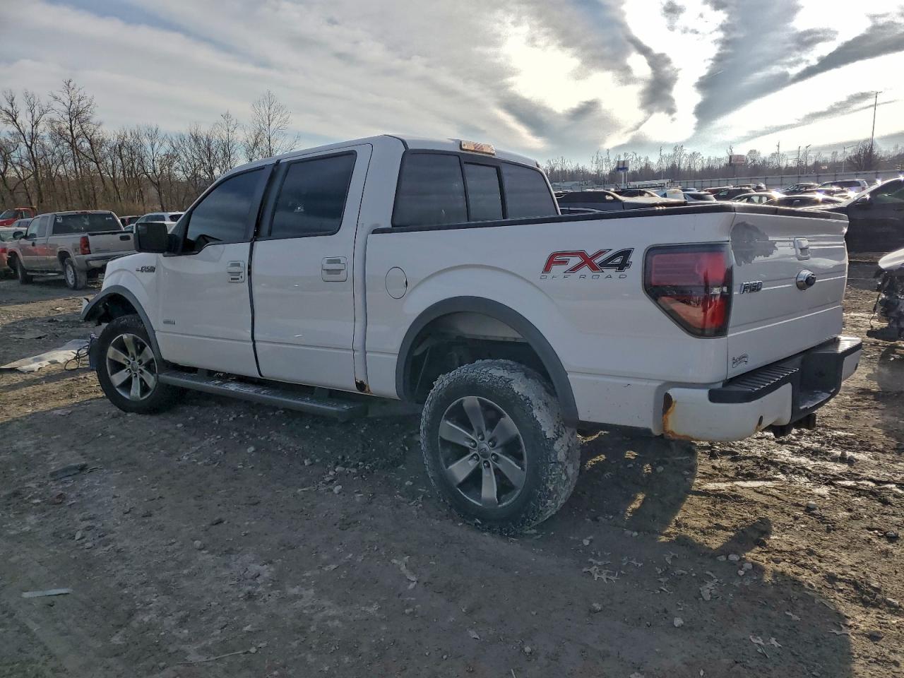 2014 FORD F150 SUPERCREW photo 4