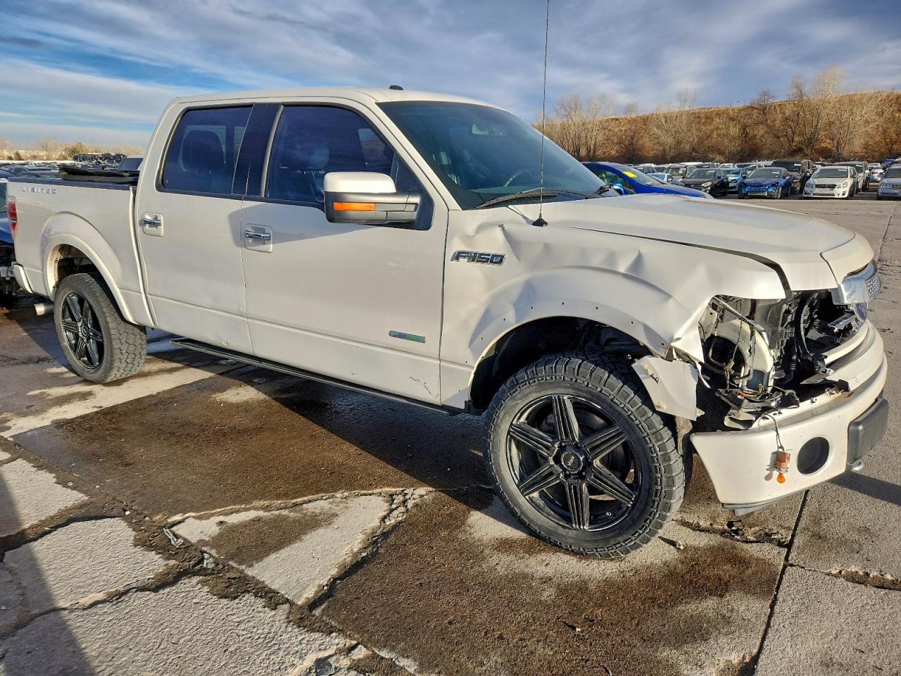 2014 FORD F150 SUPERCREW photo 10