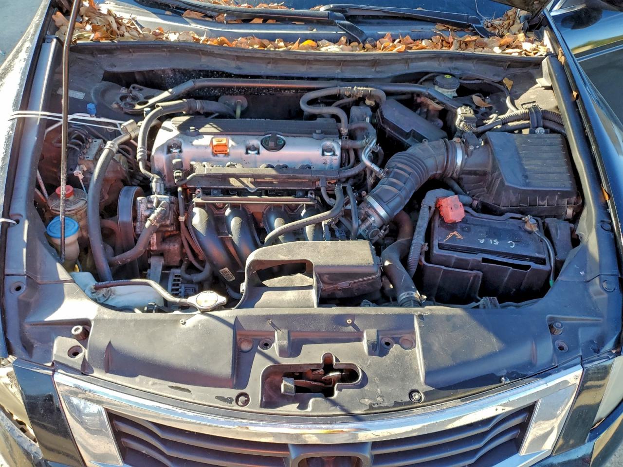 2010 HONDA ACCORD EX photo 11