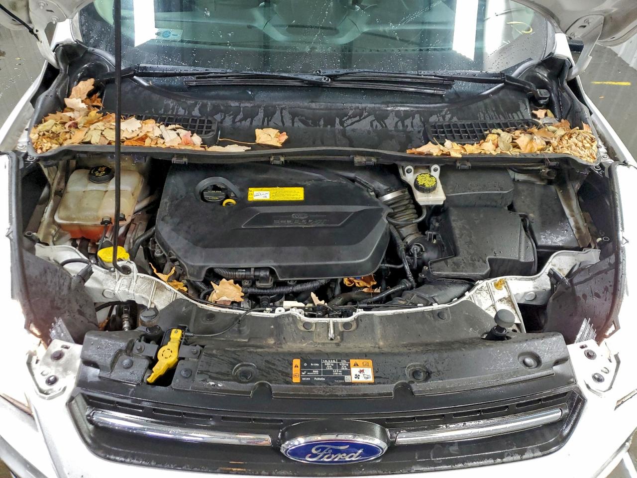 2015 FORD ESCAPE SE photo 11