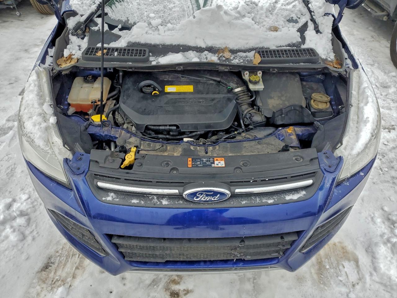 2015 FORD ESCAPE SE photo 11