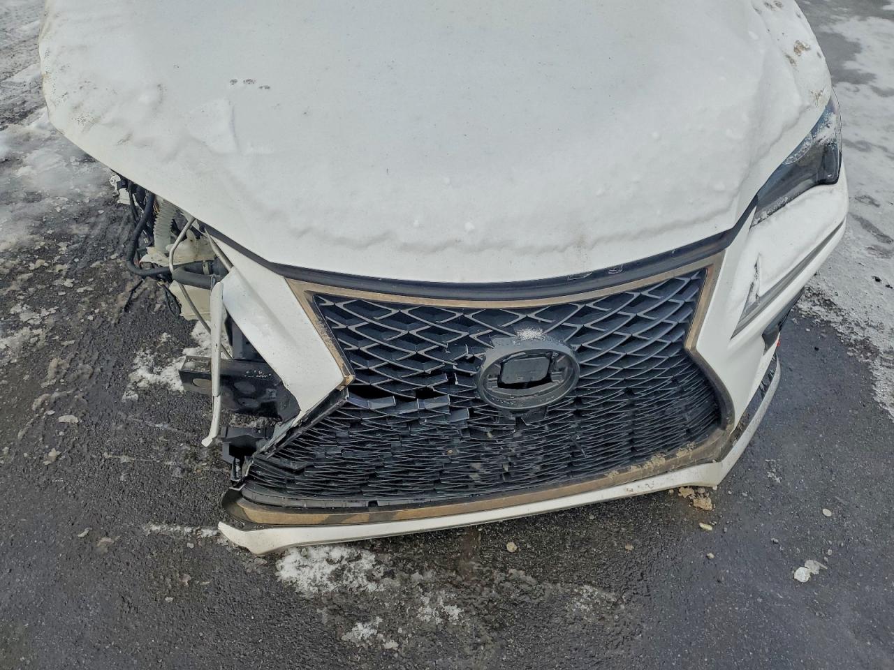 2021 LEXUS NX 300 BASE photo 12