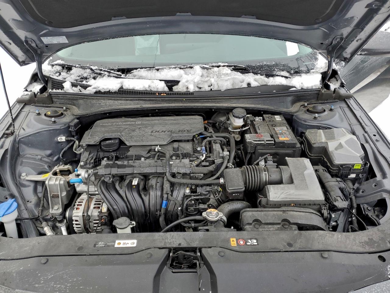 2025 HYUNDAI ELANTRA SEL SPORT photo 11